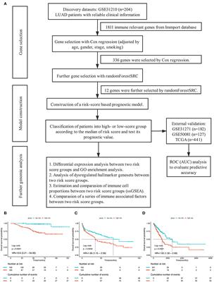 Development and Validation of a 12-Gene Immune Relevant Prognostic Signature for Lung Adenocarcinoma Through Machine Learning Strategies